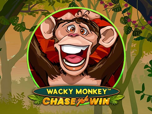 ویکی منکی - چیز این ون game icon